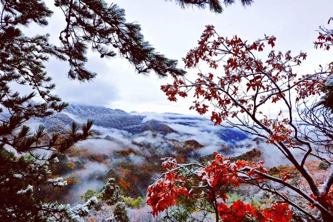 年末将至，约一场旧历新年前的旺苍之旅！