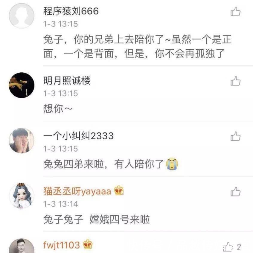 请收下世界首张近距离月背影像！网友泪目：玉兔，家里来人了！