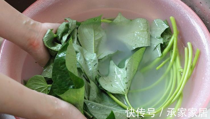 蒜香红薯叶|红薯叶煮鸡蛋,作用实在是太厉害了,省钱又实用,很多人都不晓得