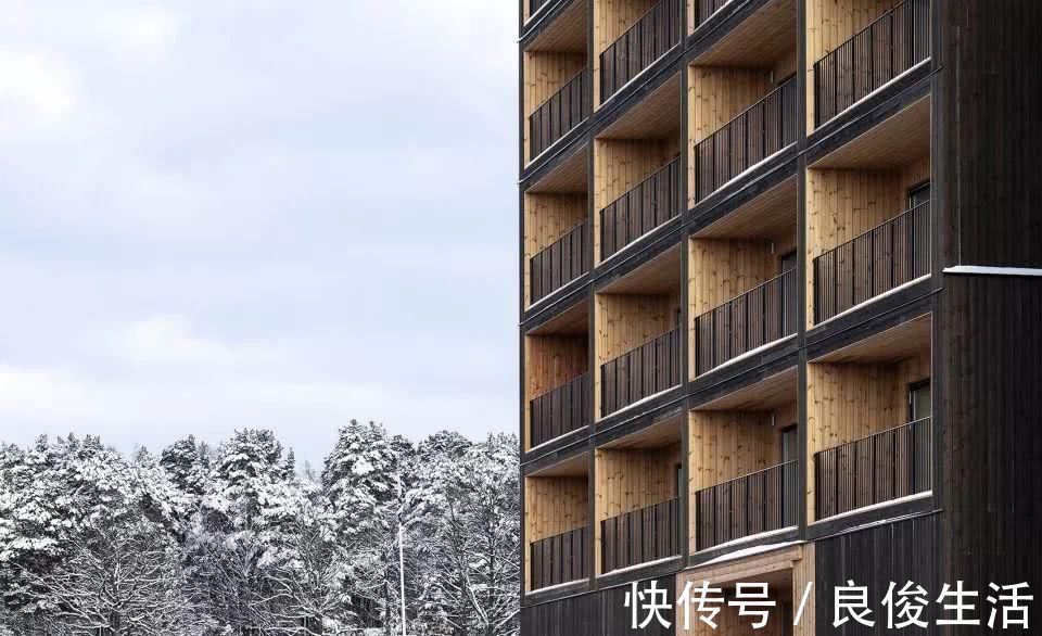 建筑|全球最大木构装配式建筑建成超低能耗的木构建筑或成未来趋势