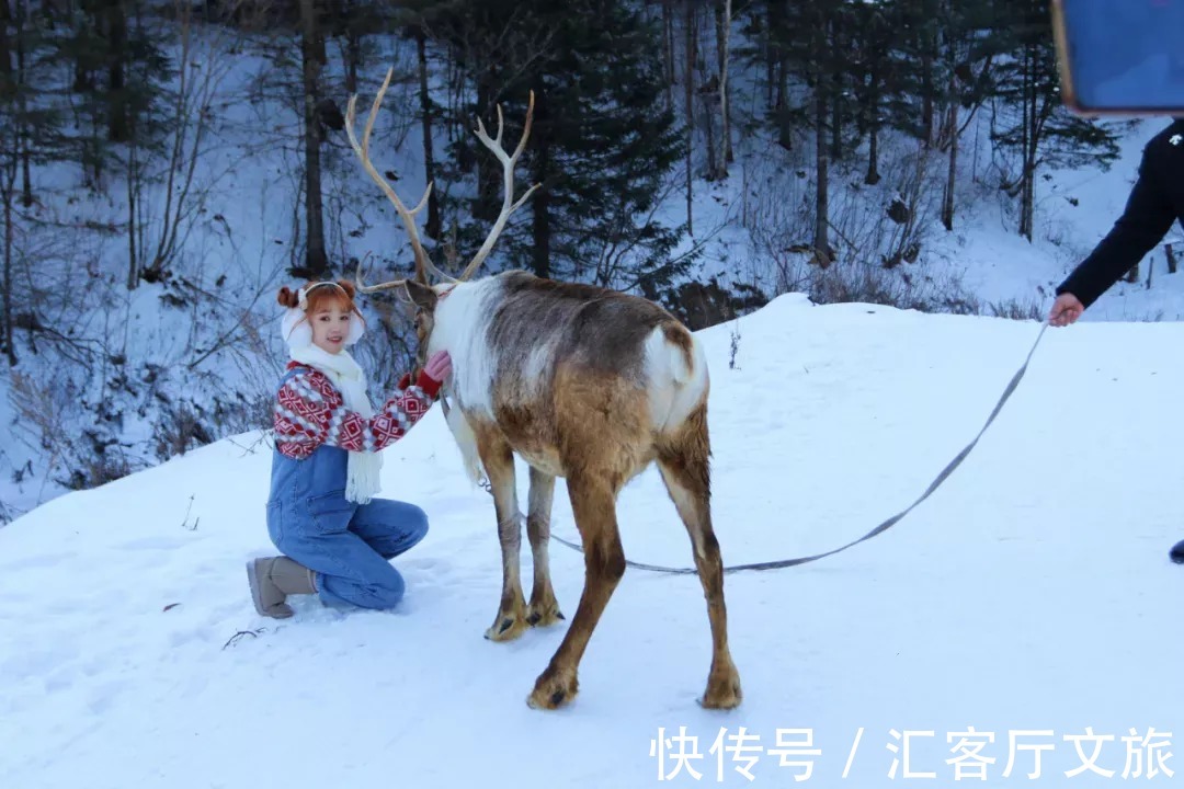 牡丹江市|穿林海，跨雪原，走进梦幻雪山，挑战镜泊湖蓝冰徒步