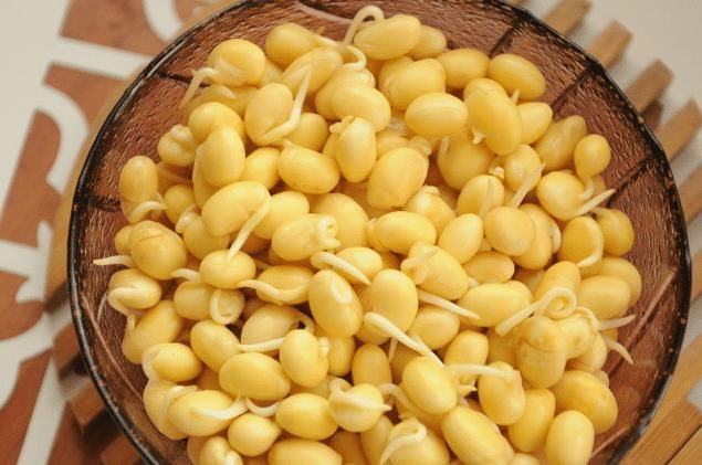 别再买豆芽了！有豆子就能发，3天就发好，无化肥更健康，超简单