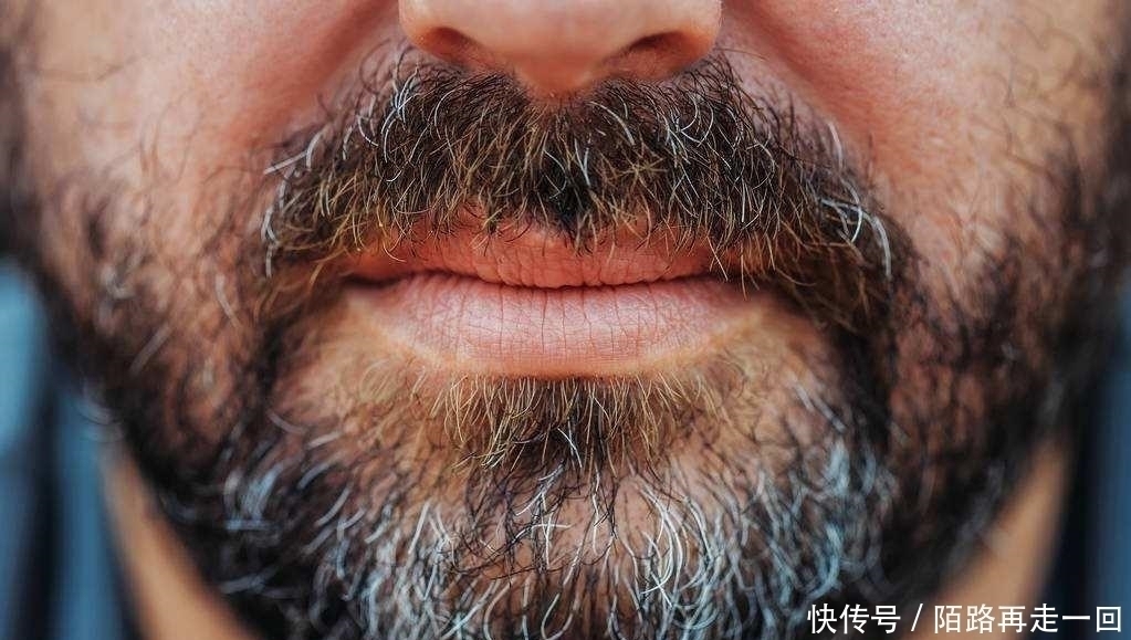 男性|男性的寿命跟刮胡子有关？多数人不是很清楚，今天就告诉你答案