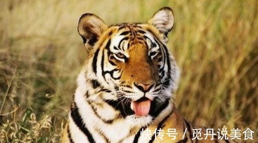 终南山#同样的神秘药方,哥弟两个使用起来,效果却有着天壤之别