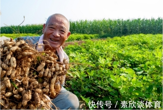 院士|高血脂能否吃花生？退休院士忠告：不想血管堵塞，3物要少吃