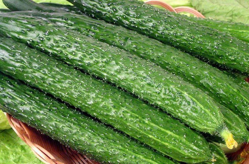 鉴别|还在吃“激素黄瓜”?学会4个鉴别小妙招,再不怕买到激素黄瓜