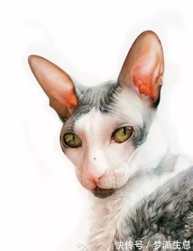 孟老师!清华美院男神酷似金城武!为一幅画累瘦17斤,堪比彩铅界“冷军”