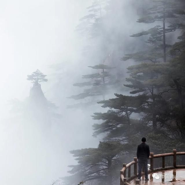 旅游|「《黄山》传真」传承彰显推五招