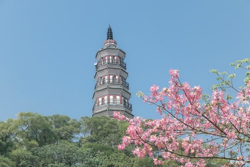 村里|古村里的顺德味