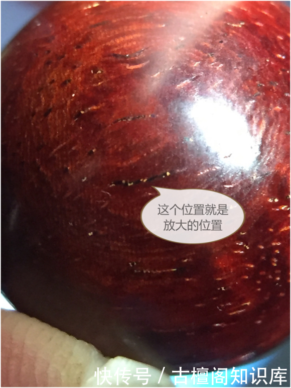 物质|小叶紫檀棕眼里的黑色物质到底是什么?