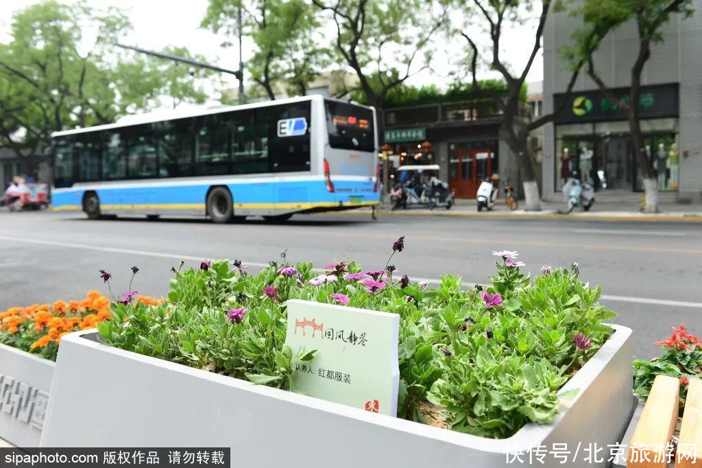 盛夏美|盛夏美翻天，北京这条大街竟藏35处微花园，得知真相令人感动！