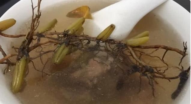珠子|一株就两片叶子，中间还夹颗珠子，价值极高，别当杂草