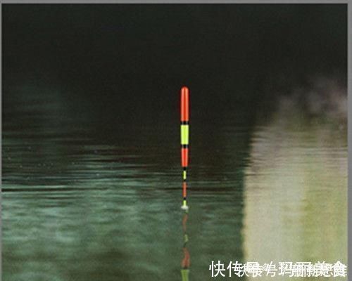 水域|用加粗尾浮漂野钓,调漂不对难上鱼,老钓友解析加粗尾的调钓方法