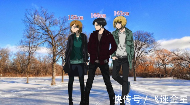 贝特霍尔德|进击的巨人15位调查兵团成员身高,埃尔文高出兵长18cm
