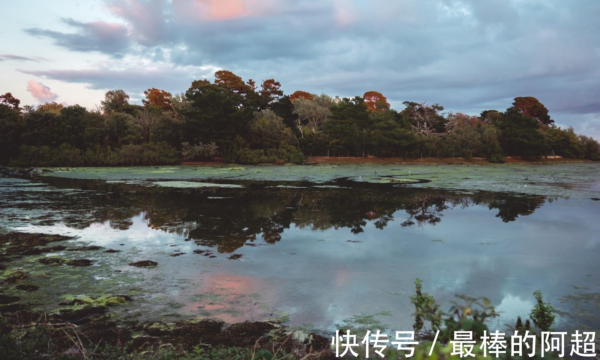 楚宫!李商隐凭吊屈原的一首诗,只短短4句,读来惆怅悲切,感慨万分