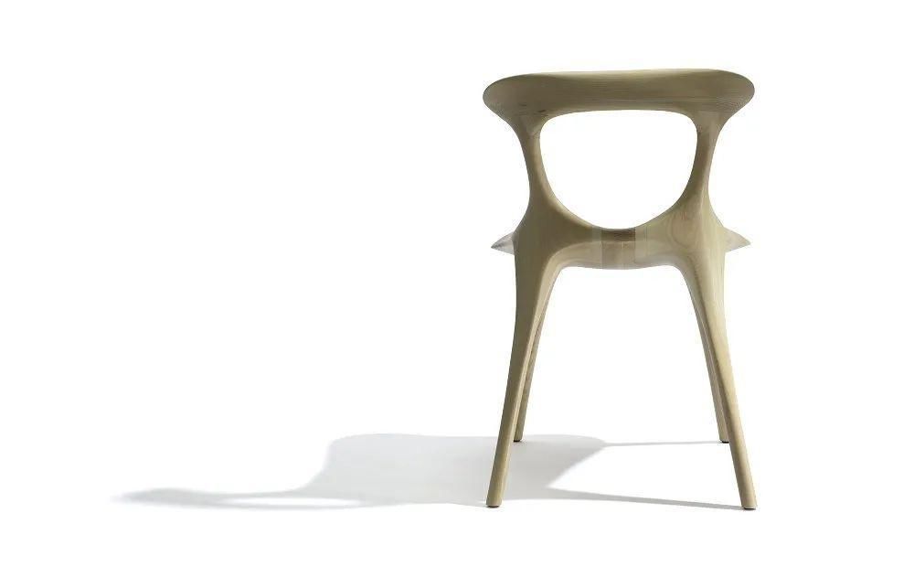  本源|设计与奇思：装饰之自然本源