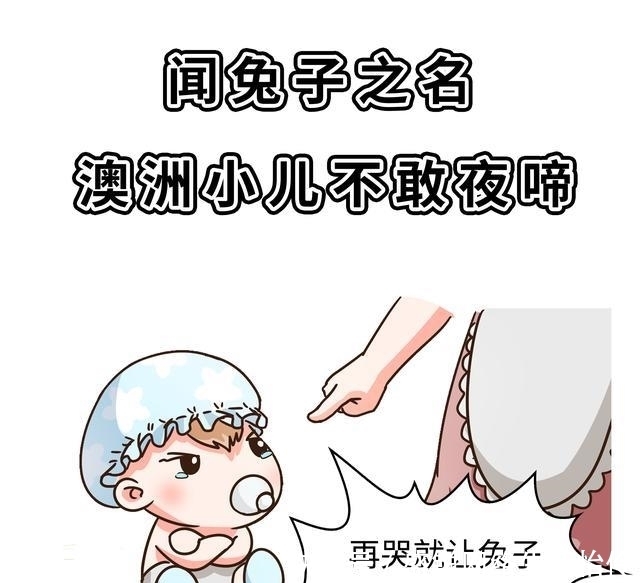 菲李|馋哭四川人的兔子，是如何把澳大利亚人逼疯的？（菲李漫画）