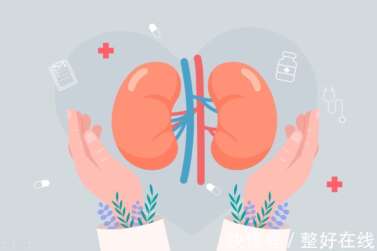 肾炎|5个医生常讲的肾炎发病缘由,日常注意5个预防小妙招,远离肾病