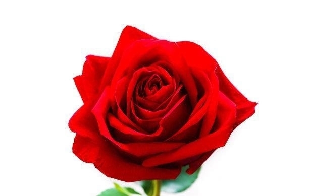 前任|2天后,爱错了人,姻缘再续,事业提升,异常激动,终拥前任入怀