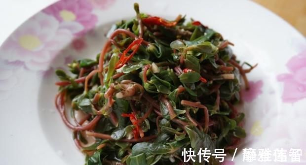 毒素|它是最不起眼的“长寿菜”,每天吃一点,排出肠胃毒素更健康!