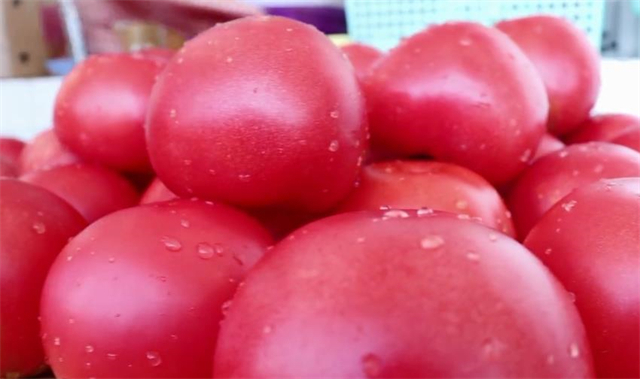 自制|教你在家自制西红柿酱,味道鲜美,做法简单,放一年不怕坏