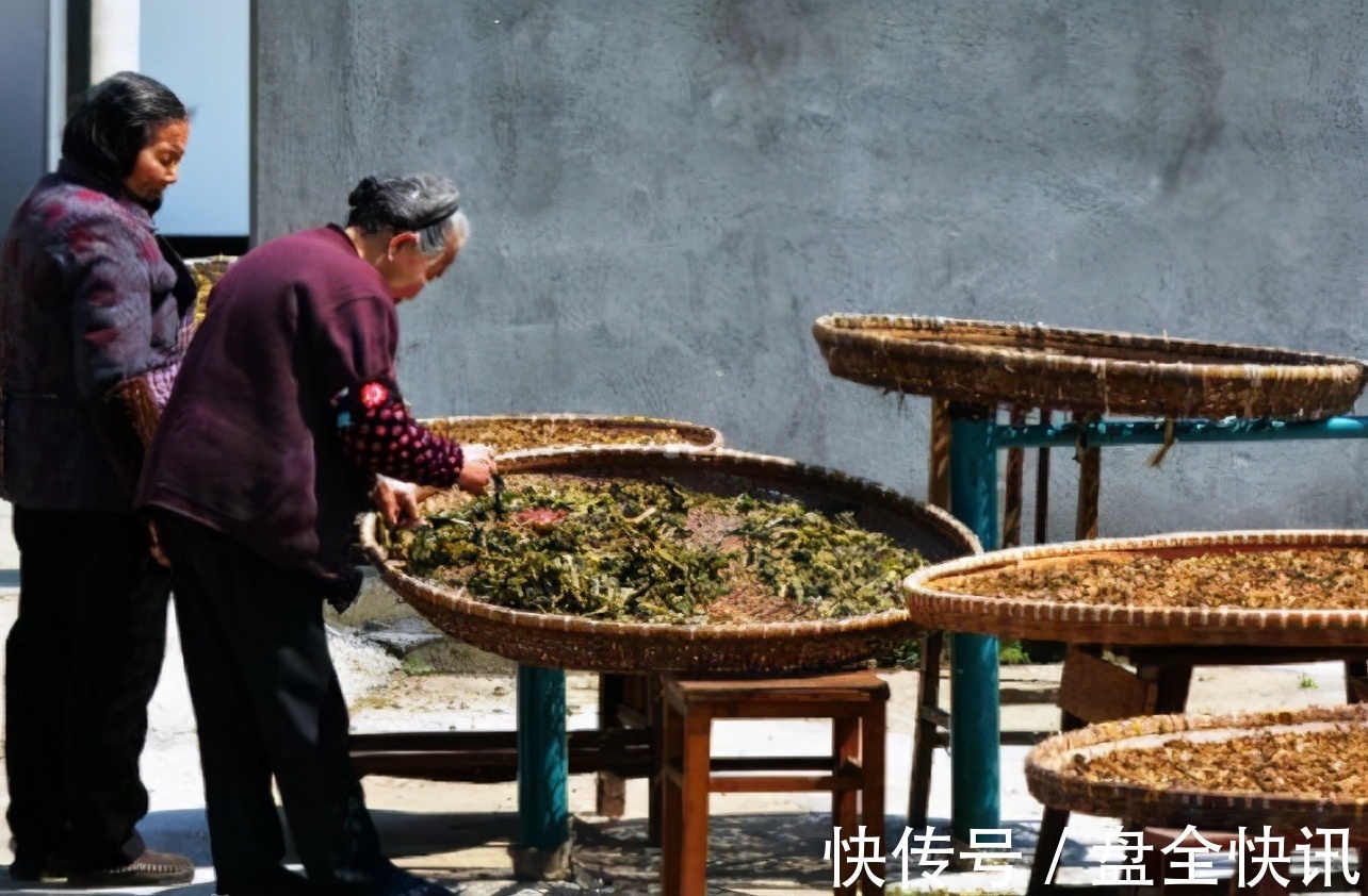 红薯干|买7种菜晒干菜，给新鲜菜都不换，1年不会坏，冬天焖肉特别香