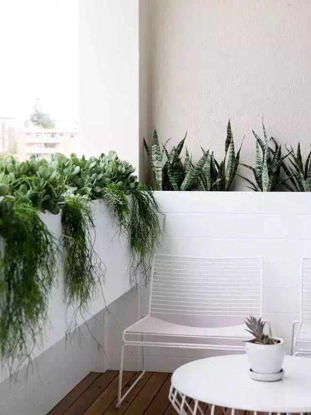 阳光房|告别“中国式阳台”,小阳台原来可以这么美,你肯定都没这想