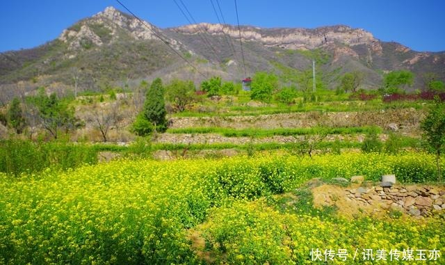 自驾游常馨谷：追寻春天最后一抹油菜花