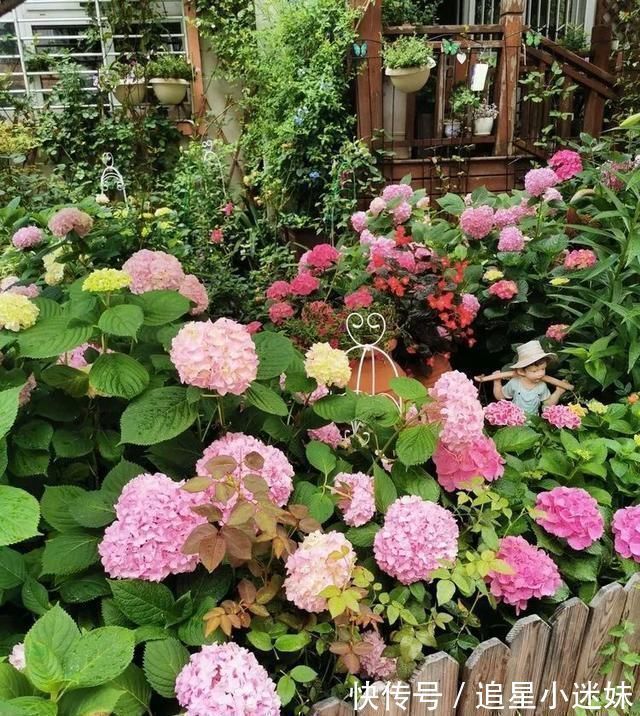 有了30平方的小院,能将日子过成了诗简单而精致,优雅而从容