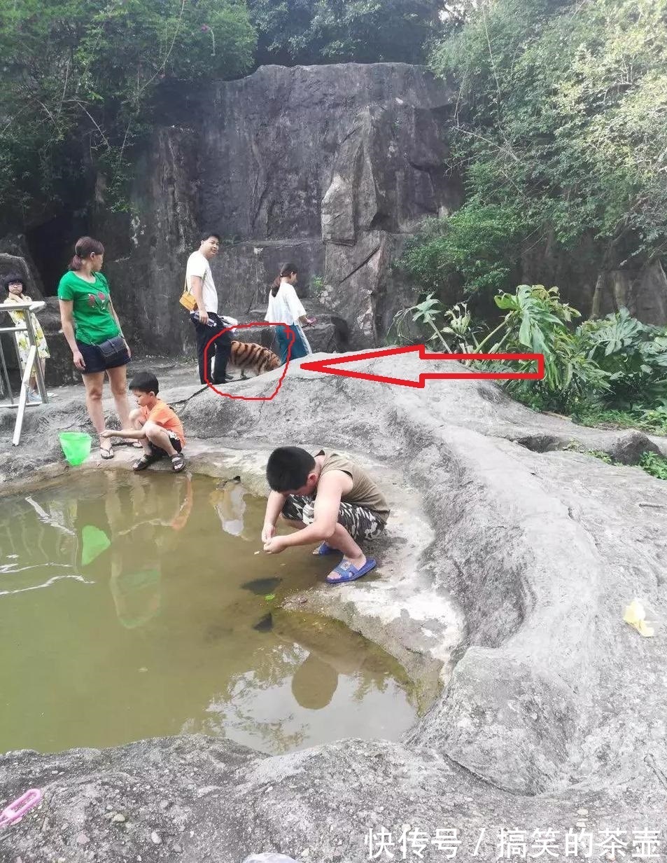 |盘点那些爆笑的神反转段子，真是沙雕年年有，看得我已经笑岔气