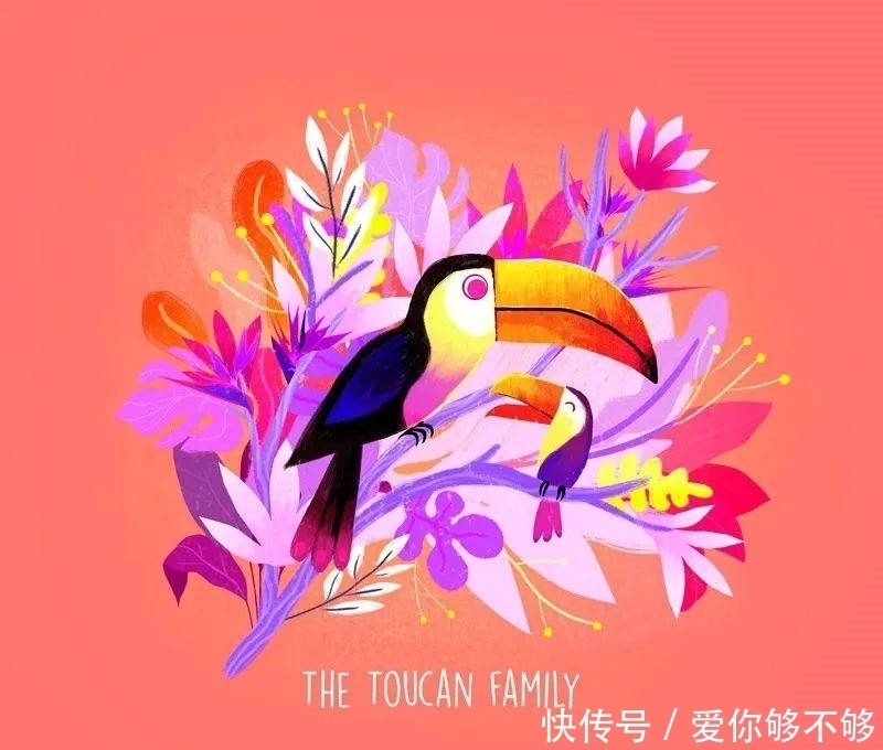 插画|三组各具特色的动物插画,看完很治愈~