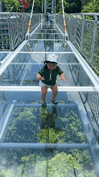 |搞笑GIF:我就在旁边静静地看着,这都是惹谁了?