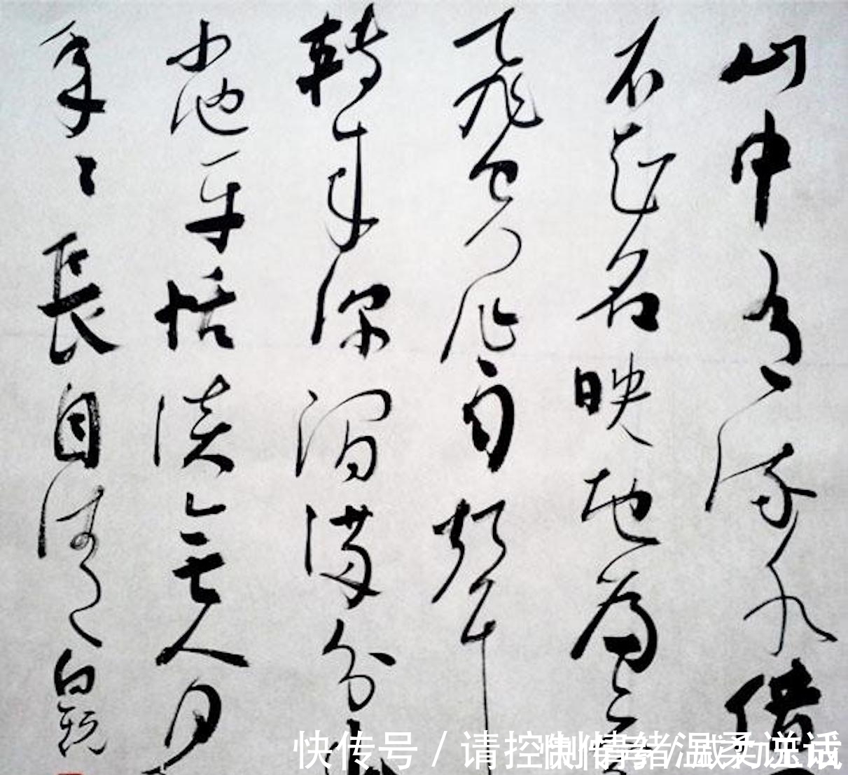 胡抗美|沈鹏是这样夸赞他的女学生的：书法理论和作品俱佳。网友：字不行