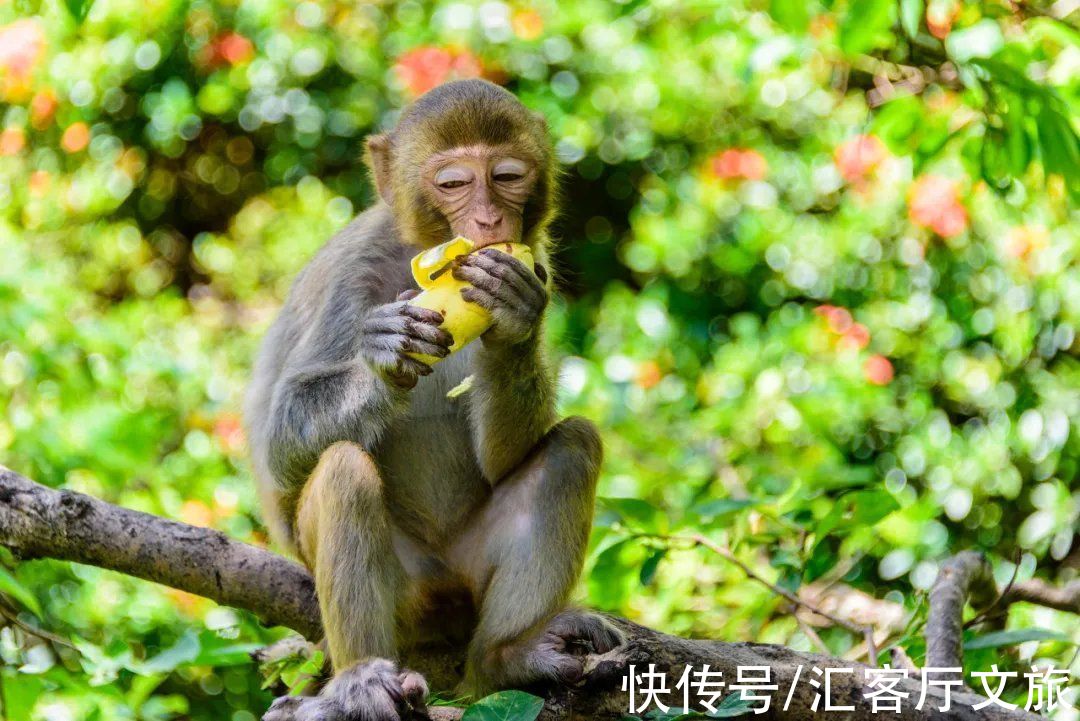 宝藏地|媲美巴厘岛，北纬18°绝美海岸线，海南这个宝藏地比三亚人少景美