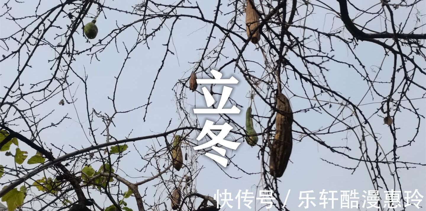 莲藕|老人说今年立冬很不一般,讲究“3吃2喝1不碰”,补全营养入冬