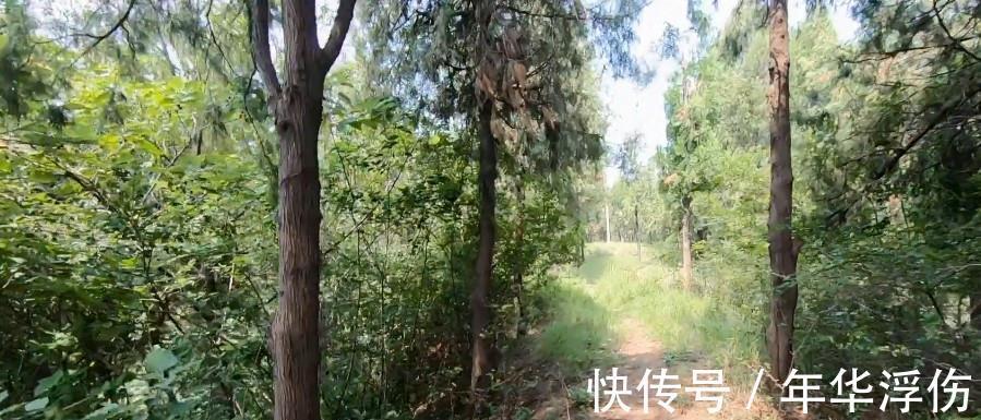 坟地|安徽淮北：距今2000多年的国保城墙，如今却成为村民坟地