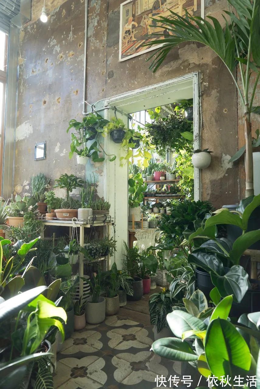 她在屋里种满500盆植物:呆在这样的房子里,生活更有了诗意!
