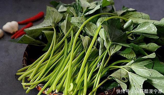 大魚大肉|夏天,多吃這個菜,營養高常吃好處多,簡單一炒,脆嫩爽口