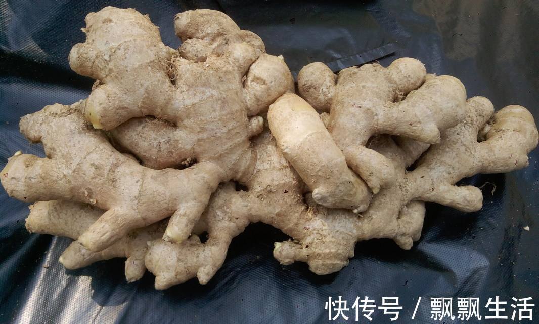 毒素|女性经期走后,生姜涂在一处,排出毒素,改善失眠,缓解痛经!