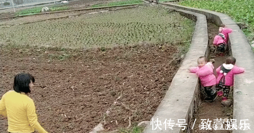 四娃|最勤劳奶奶走红,一人带四胞胎还干农活,网友:这才是“圈养”