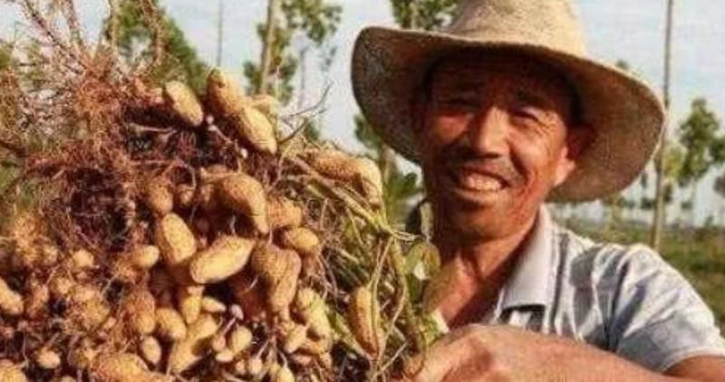 花生和此物一起吃,是天然的“阿司匹林”,血