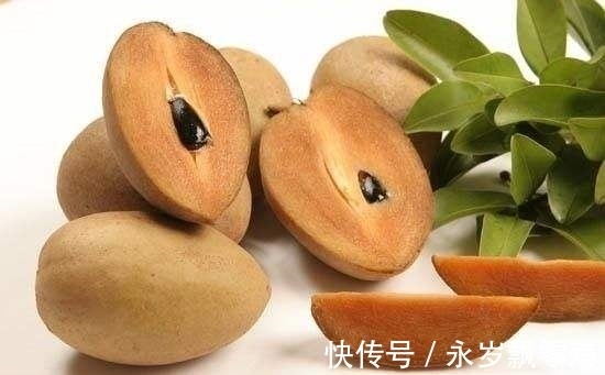 灌木|植物界的十大奇葩，你可能1种也没见过！