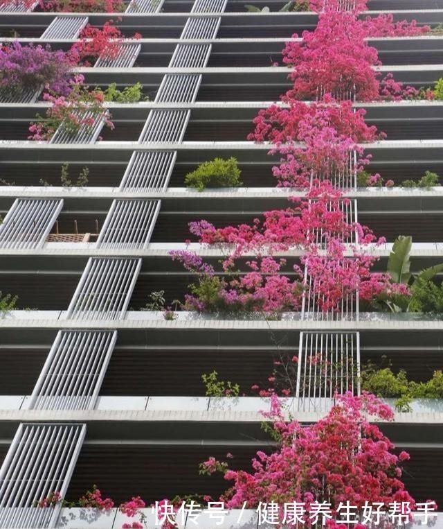 5种花卉，最爱“毒日头”，越晒越开花，千万别放屋里养！