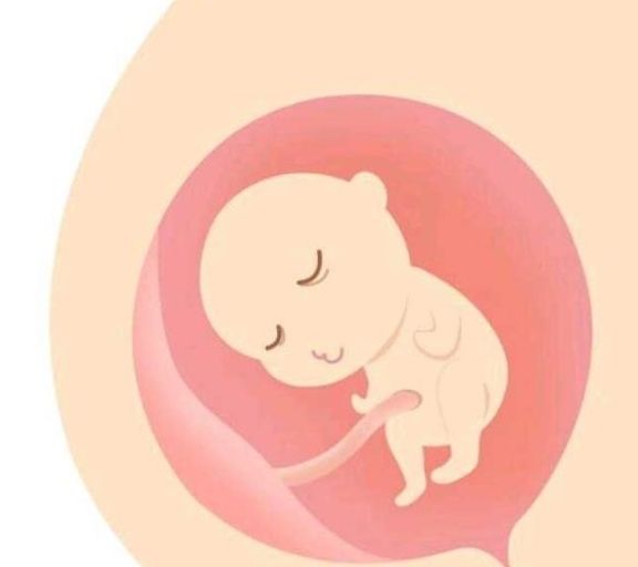 胎儿|孕妈别怨胎儿“不退房”，这都是孕妈自己的原因，网友：扎心了