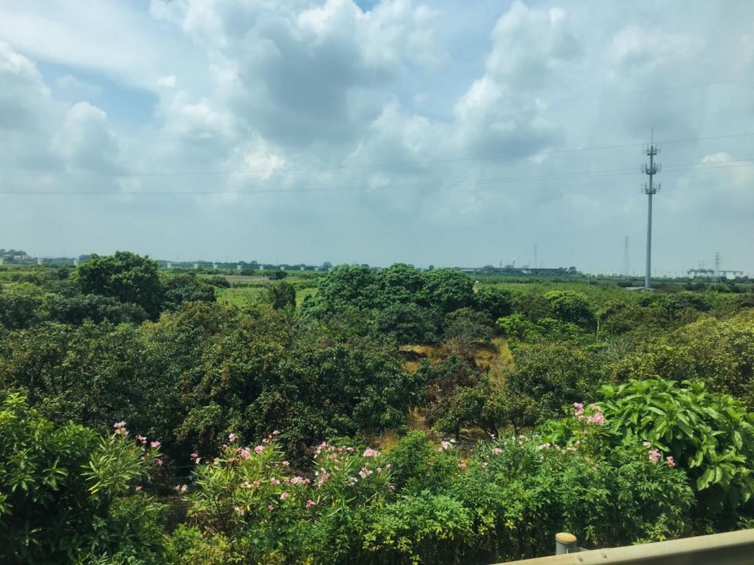 合景泰富集团|实地测评｜合景荔湖第三子即将首开，吹风价2.2万/平起
