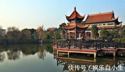 洛社!七律:碧湖诗社年会观感