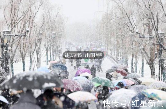 中雪|今天杭州人刷屏的“鹅毛大雪”，只是小到中雪？并非十年未见？真相来了