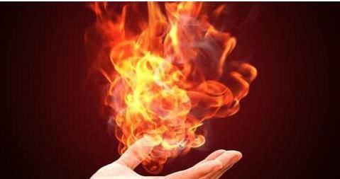 决明子|身体有浊气多,就会生病,1味中药,把浊气通通都排出去