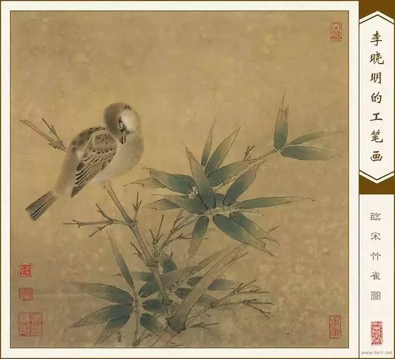 转载：如何画竹子，技法，步骤（学习，欣赏，收藏）