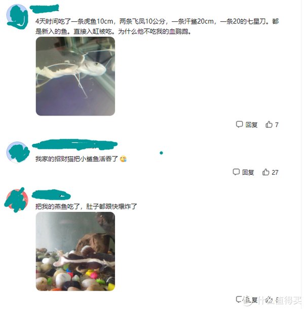 前洲|江苏无锡一男子钓鱼时遇上“招财猫”，网友：能值好几百，赚大了